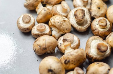 Gri taştan bir tabakta çiğ ve taze mantarlar organik bir çiftlikten sebzeler, doğal yiyecekler.