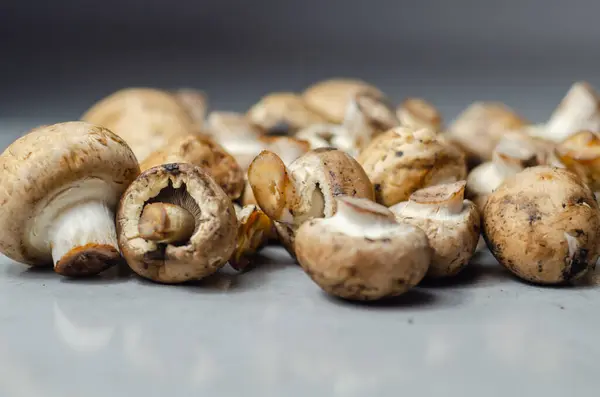 生蘑菇和新鲜蘑菇放在灰色的石板上 蔬菜来自有机农场 天然食物 — 图库照片