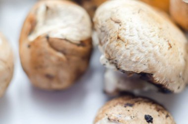 Beyaz arka planda çiğ ve taze mantarlar, organik bir çiftlikten sebzeler, doğal yiyecekler.