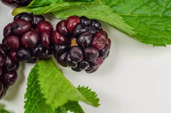 用薄荷糖 新鲜成熟的森林水果 天然维生素包裹黑莓 — 图库照片