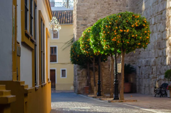 Beautiful Picturesque Narrow Street Original Spanish Facades Buildings Typical Old — Stock Photo, Image