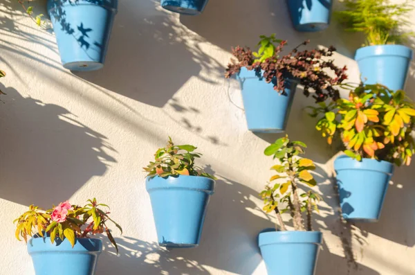 Vasos Cerâmica Azul Com Flores Penduradas Parede Decorando Espaço Urbano — Fotografia de Stock