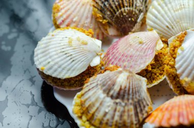 St. Jacques mantarı, Patagonya deniz tarağı ile dolu doğal deniz tarağı kabukları ve üzerine ciabatta ekmek kırıntısı sosu, özel yemek.