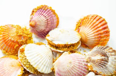 St. Jacques mantarı, Patagonya deniz tarağı ile dolu doğal deniz tarağı kabukları ve üzerine ciabatta ekmek kırıntısı sosu, özel yemek.