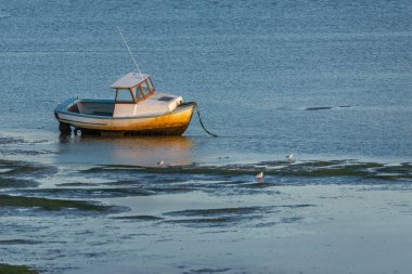Dalgalar çekildiğinde batan güneşin ışınlarıyla aydınlatılan demirli tekne.