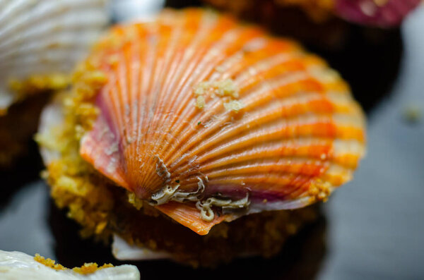 Мини-кокиль Сен-Жак, ароматные шарики, наполненные патагонианскими шашлыками и соусом термидор, увенчанные грудинкой чиабатта