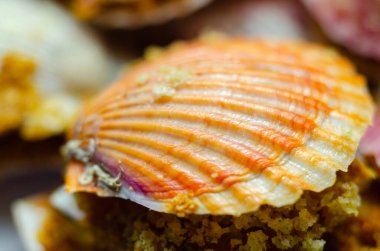 St. Jacques mantarı, Patagonya deniz tarağıyla dolu doğal deniz tarağı kabukları ve üzeri ciabatta ekmek kırıntısı sosuyla kaplı Thermidor sosu.