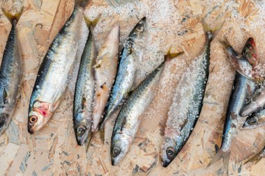 Düz bir yüzeyde yatan deniz tuzu ile bütün çiğ organik uskumru balığı, sağlıklı gıda