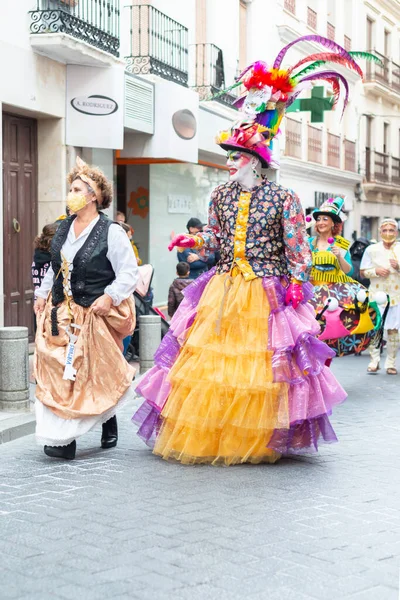 Nerja Spain 2022年2月26日由马拉加地区一个著名城镇的居民组织的丰富多彩的狂欢节游行 — 图库照片