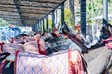 MIJAS, SPAIN - 01 Mart 2022 Eski İspanya 'daki malları taşıma ve taşıma yollarını sembolize eden dekoratif unsurlara sahip Hayvanlar