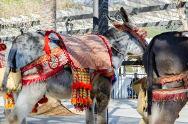 MIJAS, SPAIN - 01 Mart 2022 Eski İspanya 'daki malları taşıma ve taşıma yollarını sembolize eden dekoratif unsurlara sahip Hayvanlar