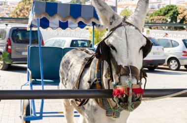 MIJAS, SPAIN - 01 Mart 2022 Eski İspanya 'daki malları taşıma ve taşıma yollarını sembolize eden dekoratif unsurlara sahip Hayvanlar