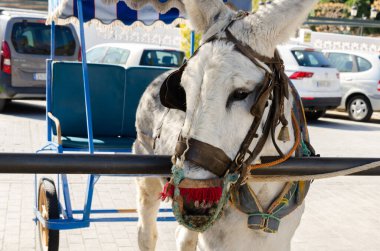 MIJAS, SPAIN - 01 Mart 2022 Eski İspanya 'daki malları taşıma ve taşıma yollarını sembolize eden dekoratif unsurlara sahip Hayvanlar