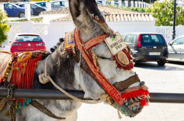 MIJAS, SPAIN - 01 Mart 2022 Eski İspanya 'daki malları taşıma ve taşıma yollarını sembolize eden dekoratif unsurlara sahip Hayvanlar