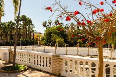 ALMUNECAR, SPAIN - 02 Mart 2022 Tuzlu Balık Fabrikası, ana arkeolojik cazibe, garumun üretildiği tuzlu akvaryumlardır, balık bağırsağından yapılan bir sostu ve neredeyse tüm dishe için lezzet artırıcı bir baharat olarak bilinir.