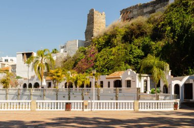 ALMUNECAR, SPAIN - 02 Mart 2022 Tuzlu Balık Fabrikası, ana arkeolojik cazibe, garumun üretildiği tuzlu akvaryumlardır, balık bağırsağından yapılan bir sostu ve neredeyse tüm dishe için lezzet artırıcı bir baharat olarak bilinir.