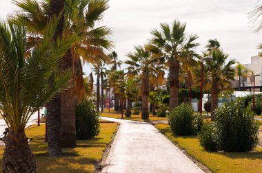 VERA, SPAIN - 23 HAZİRAN 2019 Cezayir 'in Costa Almeria eyaletindeki bir İspanyol kasabasında eğlence yolu