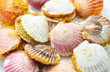 St. Jacques mantarı, Patagonya deniz tarağı ile dolu doğal deniz tarağı kabukları ve üzerine ciabatta ekmek kırıntısı sosu, özel yemek.