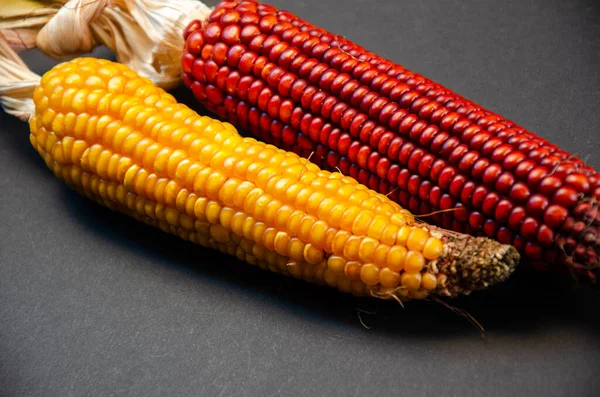 Kukorica Sárga Kukorica Fekete Háttérrel Koncepció Fotó — Stock Fotó