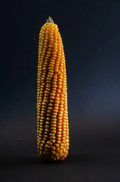 Corn Yellow Corn Black Background Concept Photo — Stock Photo, Image