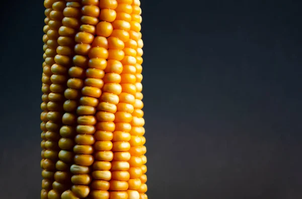 Kukurydzy Żółta Kukurydza Czarnym Tle Zdjęcie Koncepcyjne — Zdjęcie stockowe
