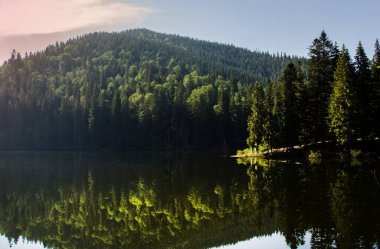 Yazın kırsal alan. Tepelerdeki tarlaların uzak vadiye aktığı güzel doğa manzarası. Gökyüzünde kabarık bulutlarla güneşli harika bir hava.