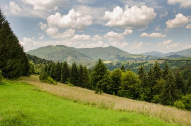 Yazın kırsal alan. Tepelerdeki tarlaların uzak vadiye aktığı güzel doğa manzarası. Gökyüzünde kabarık bulutlarla güneşli harika bir hava.