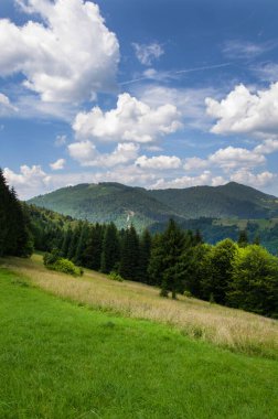 Hiking trail in the mountains highlands. Beautiful views of the mountains in the summer. Green trees and beautiful cloudy sky.