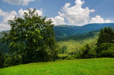 Mountain landscape. countryside landscape. beautiful views of the mountains in the summer. green trees and beautiful cloudy sky.
