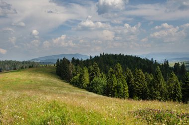 Mountain landscape. countryside landscape. beautiful views of the mountains in the summer. green trees and beautiful cloudy sky.
