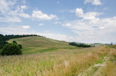 Mountain landscape. countryside landscape. beautiful views of the mountains in the summer. green trees and beautiful cloudy sky.