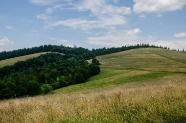Mountain landscape. countryside landscape. beautiful views of the mountains in the summer. green trees and beautiful cloudy sky.
