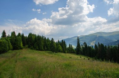 Mountain landscape. countryside landscape. beautiful views of the mountains in the summer. green trees and beautiful cloudy sky.