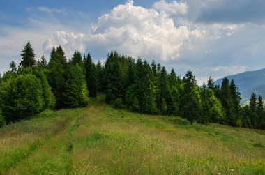 Mountain landscape. countryside landscape. beautiful views of the mountains in the summer. green trees and beautiful cloudy sky.
