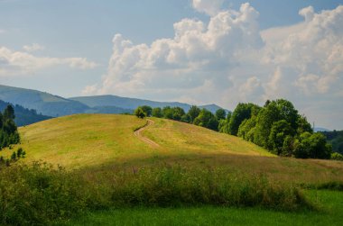 Mountain landscape. countryside landscape. beautiful views of the mountains in the summer. green trees and beautiful cloudy sky.