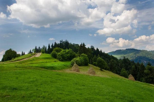 山の風景 田舎の風景 夏の山々の美しい景色 緑の木々と美しい曇天 — ストック写真
