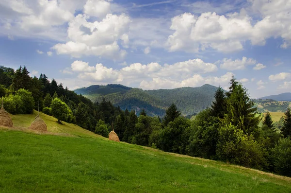 Mountain Landscape Countryside Landscape Beautiful Views Mountains Summer Green Trees — стоковое фото