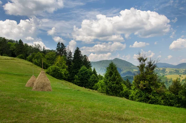 山の風景 田舎の風景 夏の山々の美しい景色 緑の木々と美しい曇天 — ストック写真