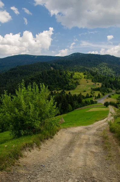 Hiking Trail Mountains Highlands Beautiful Views Mountains Summer Green Trees — стоковое фото