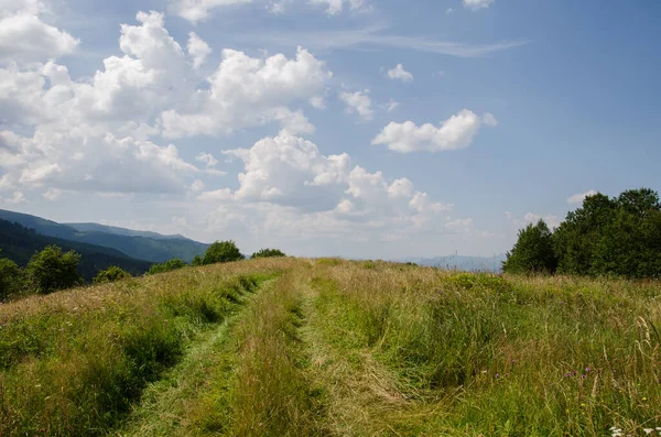 Mountain landscape. countryside landscape. beautiful views of the mountains in the summer. green trees and beautiful cloudy sky.