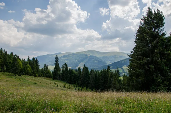 Mountain landscape. countryside landscape. beautiful views of the mountains in the summer. green trees and beautiful cloudy sky.