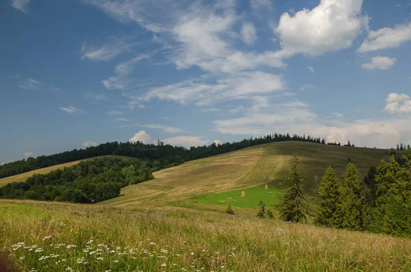 Ορεινό Τοπίο Τοπίο Υπαίθρου Όμορφη Θέα Στα Βουνά Καλοκαίρι Πράσινα — Φωτογραφία Αρχείου