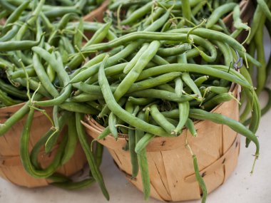 yeşil fasulye
