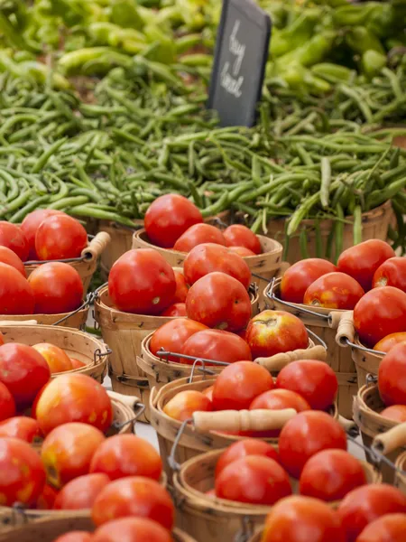 Haricots verts — Photo