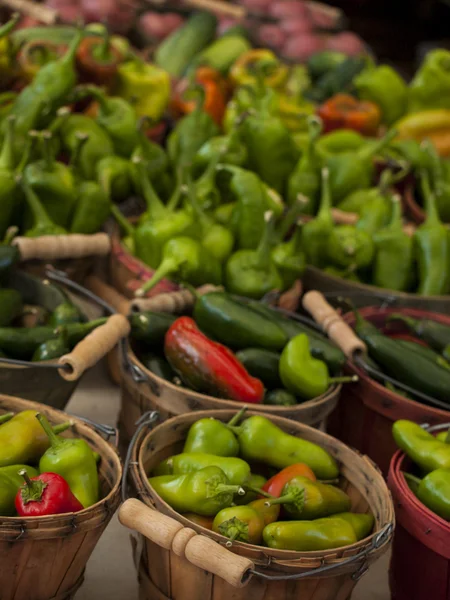 Pimientos — Foto de Stock