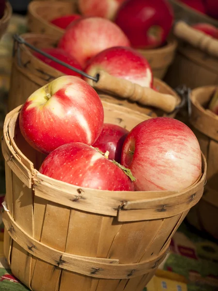 Äpfel — Stockfoto