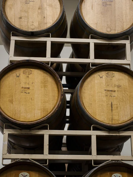 Wine Barrels — Stock Photo, Image