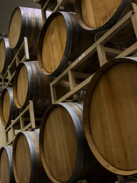 Wine Barrels — Stock Photo, Image