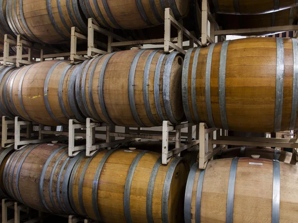 Wine Barrels — Stock Photo, Image