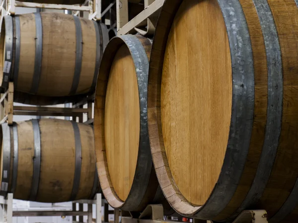 Barricas de vino — Foto de Stock